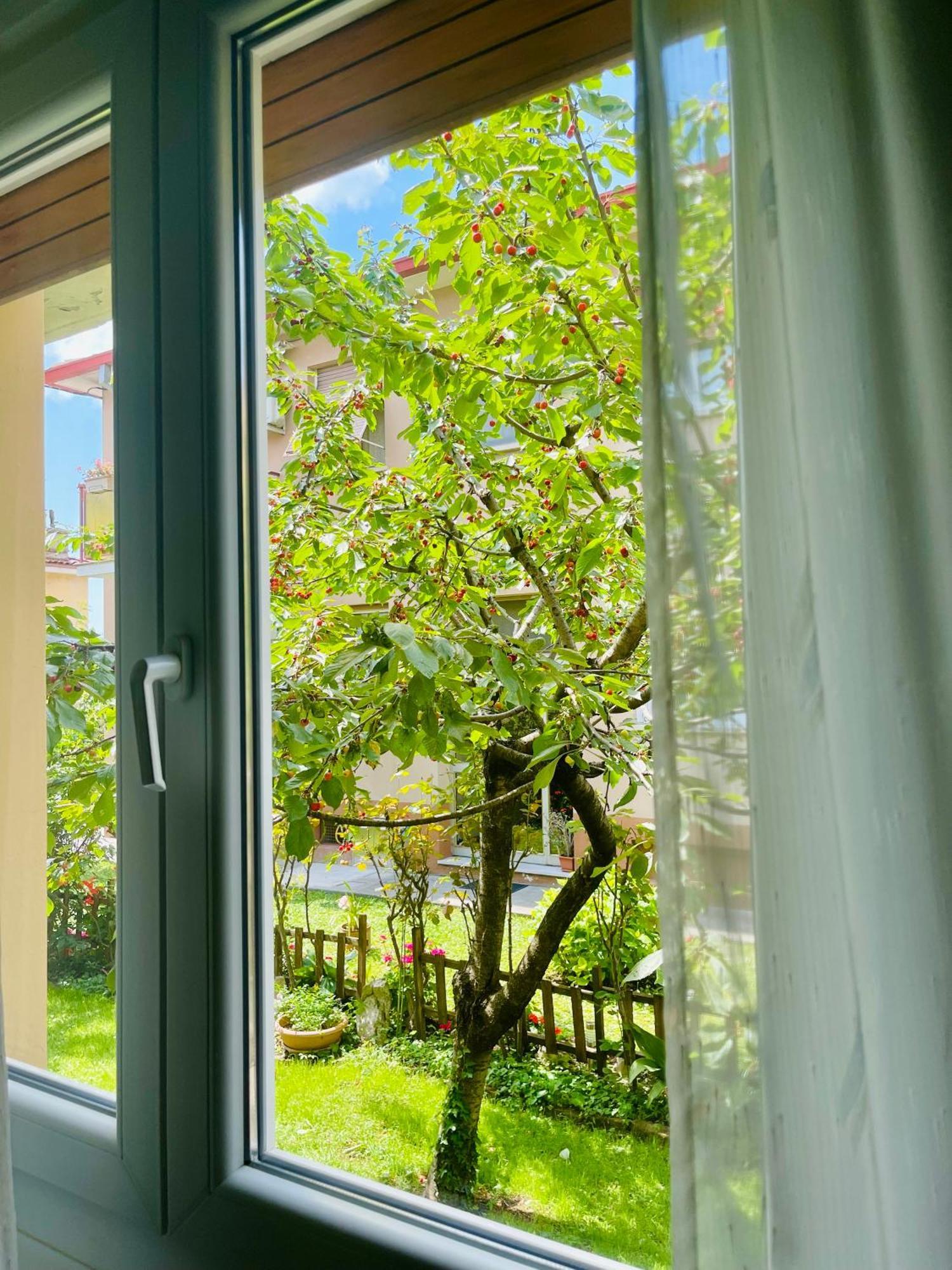 Apartamento Le Rose Trieste Exterior foto